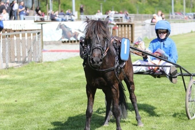 21. maj 2017: Trilta og Mads Vesterlund